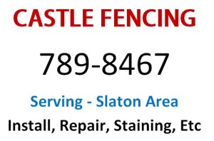 Castle Fencing 1