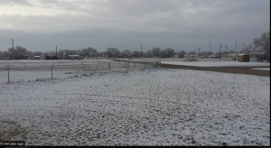 Snow On The Ground - MySlaton.com